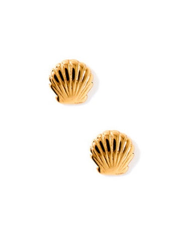 Screwback Stud Earrings - Marina Shell