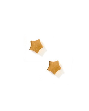 Screwback Stud Earrings - Stella