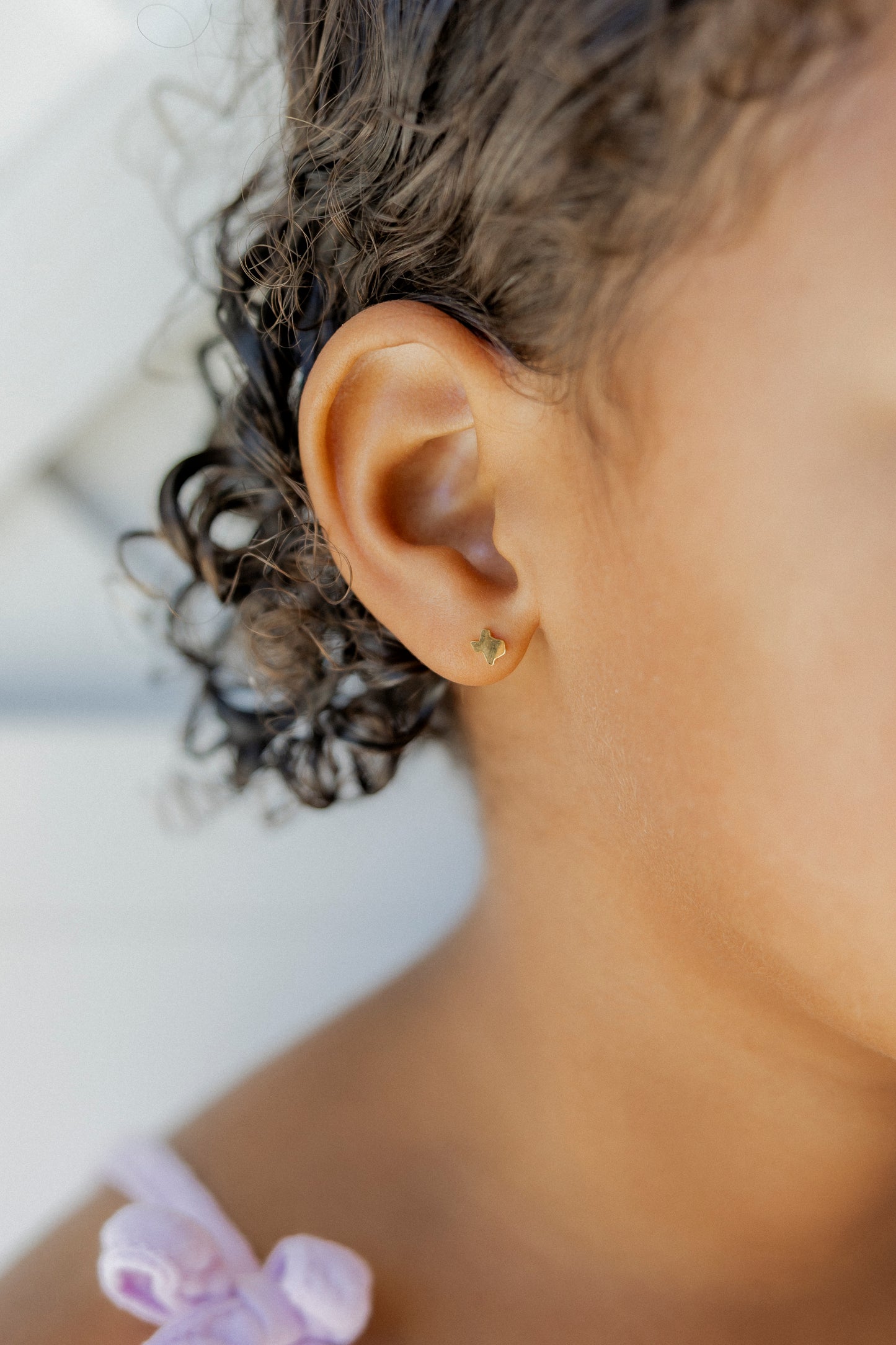 Screwback Stud Earrings - Petite Texas