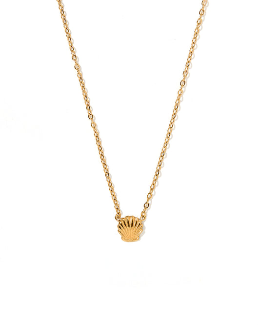 Necklace - Marina Shell