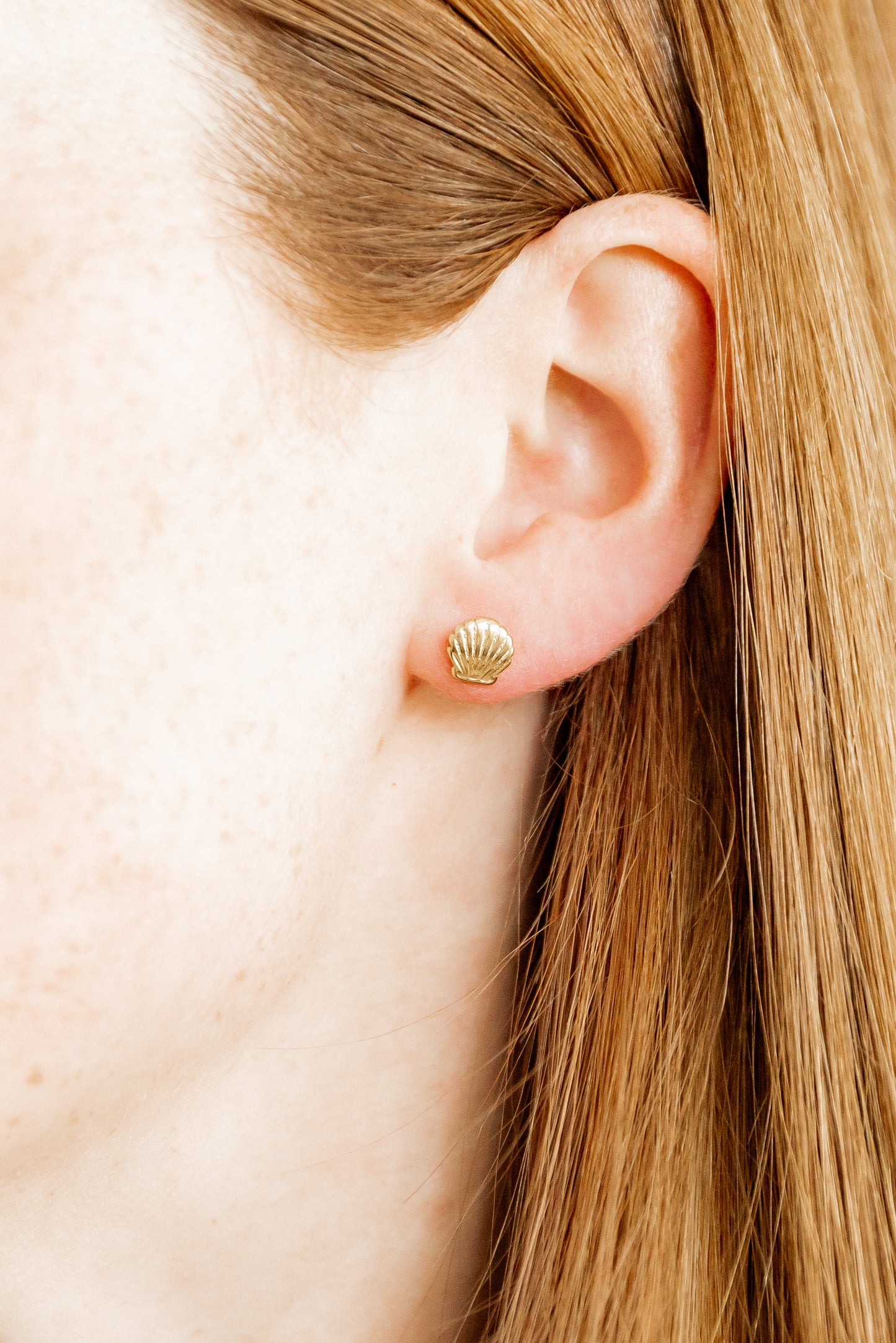 Screwback Stud Earrings - Marina Shell
