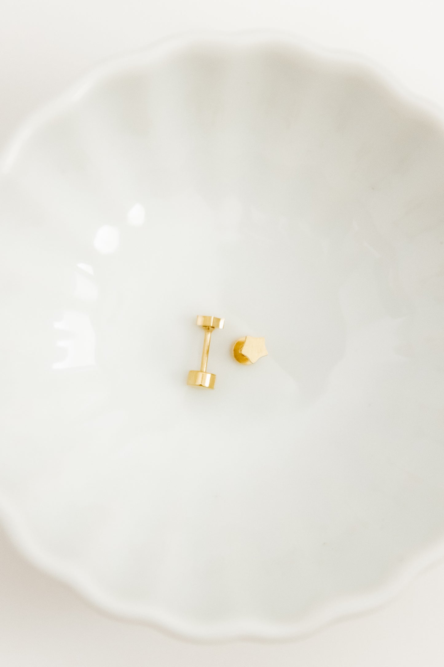 Screwback Stud Earrings - Stella