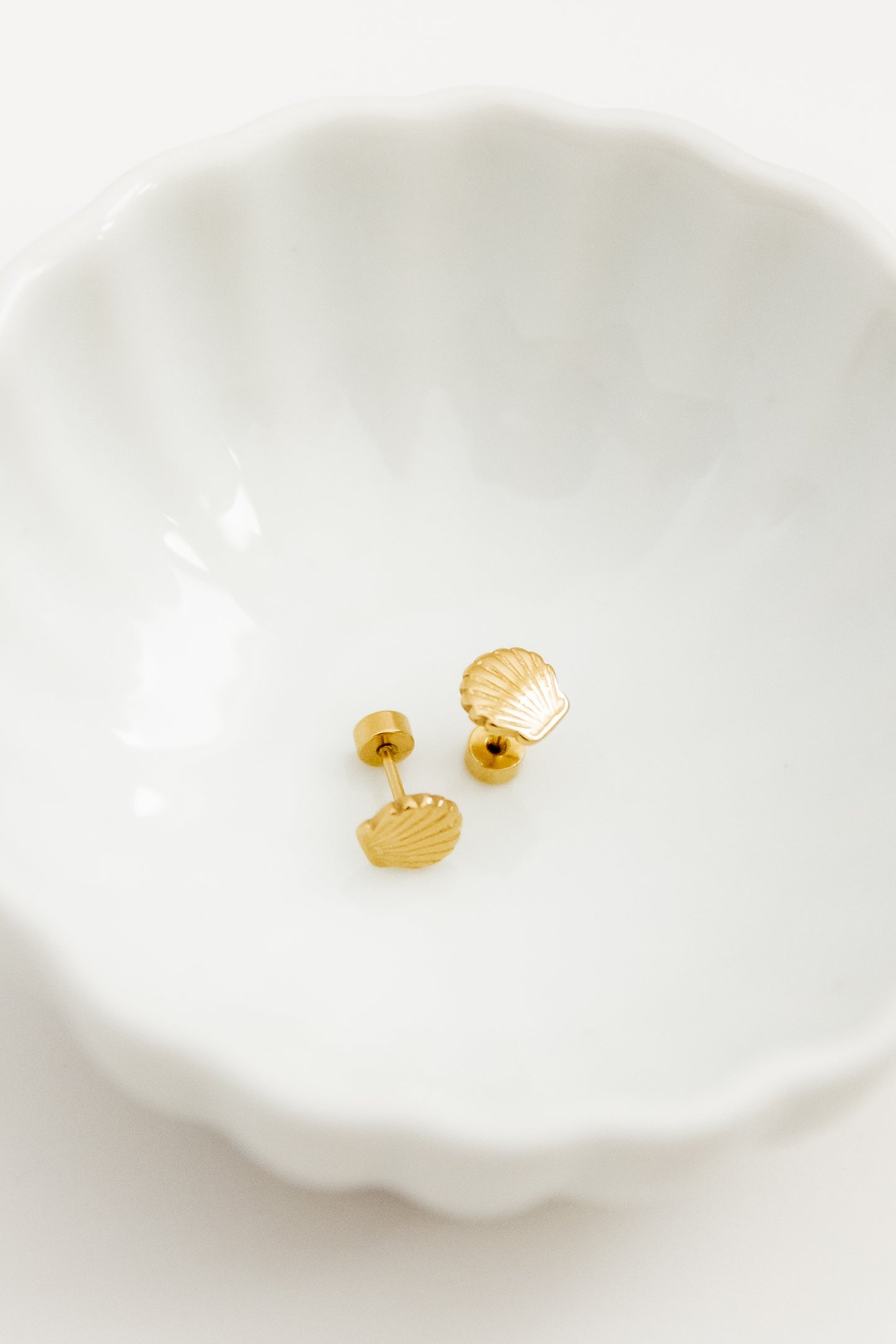 Screwback Stud Earrings - Marina Shell