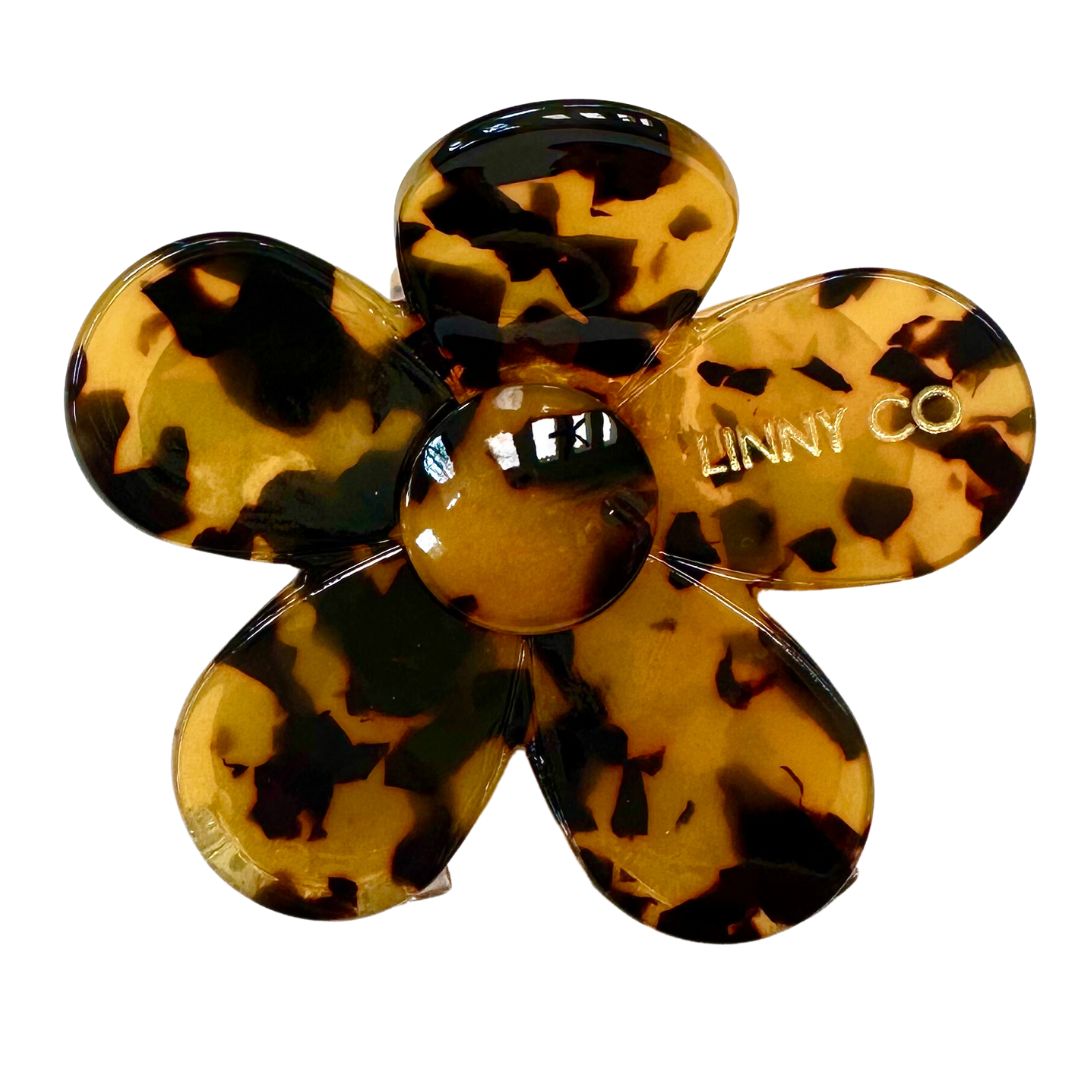 Gigi - Brown Tortoise