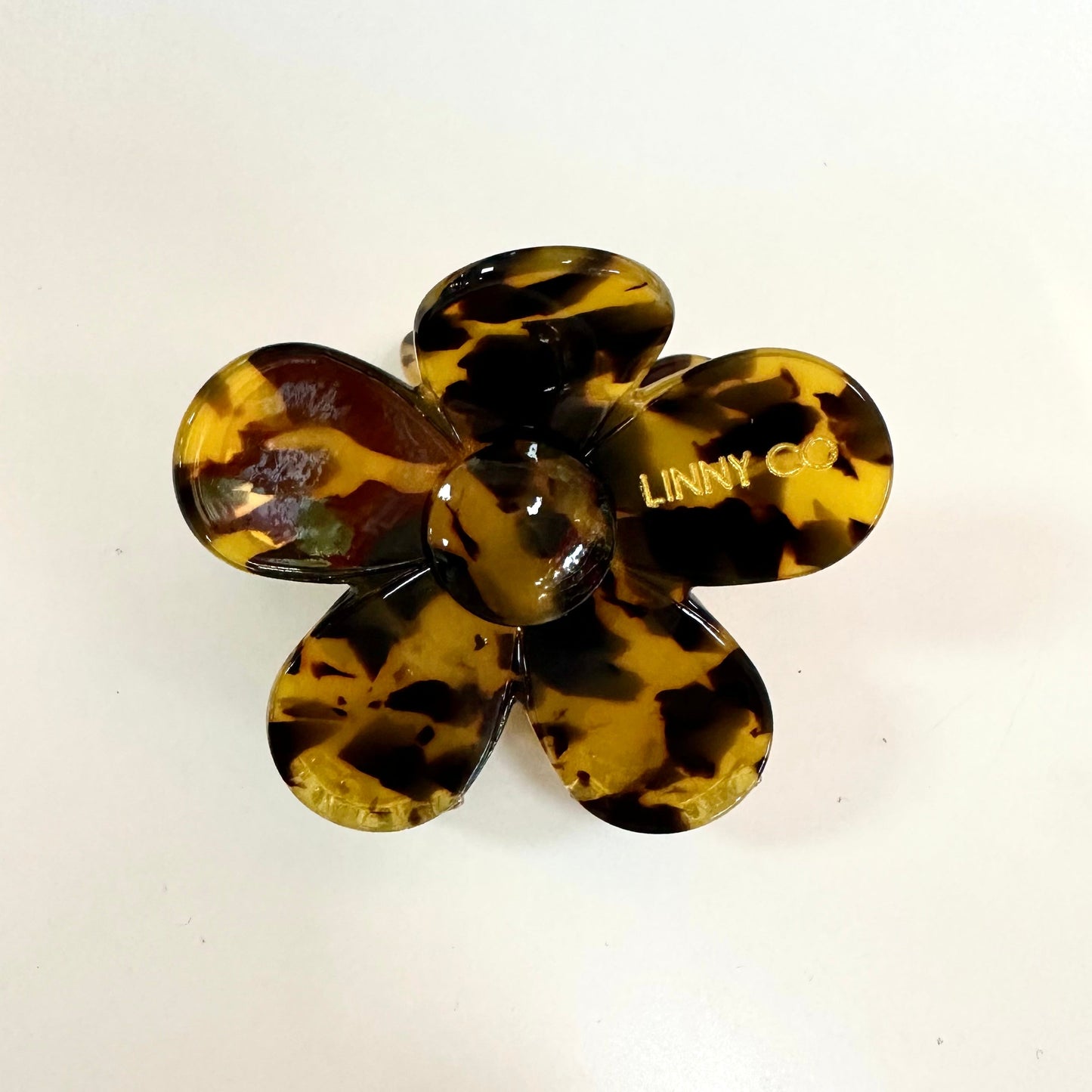 Gigi - Brown Tortoise