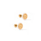 Screwback Stud Earrings - Texas A&M Alice Logo Gold