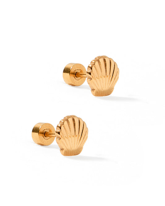 Screwback Stud Earrings - Marina Shell