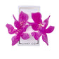Flora - Orchid Purple