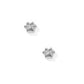Screwback Stud Earrings - Paw Print Silver