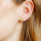 Screwback Stud Earrings - Gator