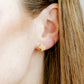 Screwback Stud Earrings - Big Texas