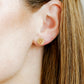 Screwback Stud Earrings - Lobster