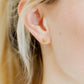Screwback Stud Earrings - Sweet Clover Gold