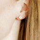 Screwback Stud Earrings - Marlowe
