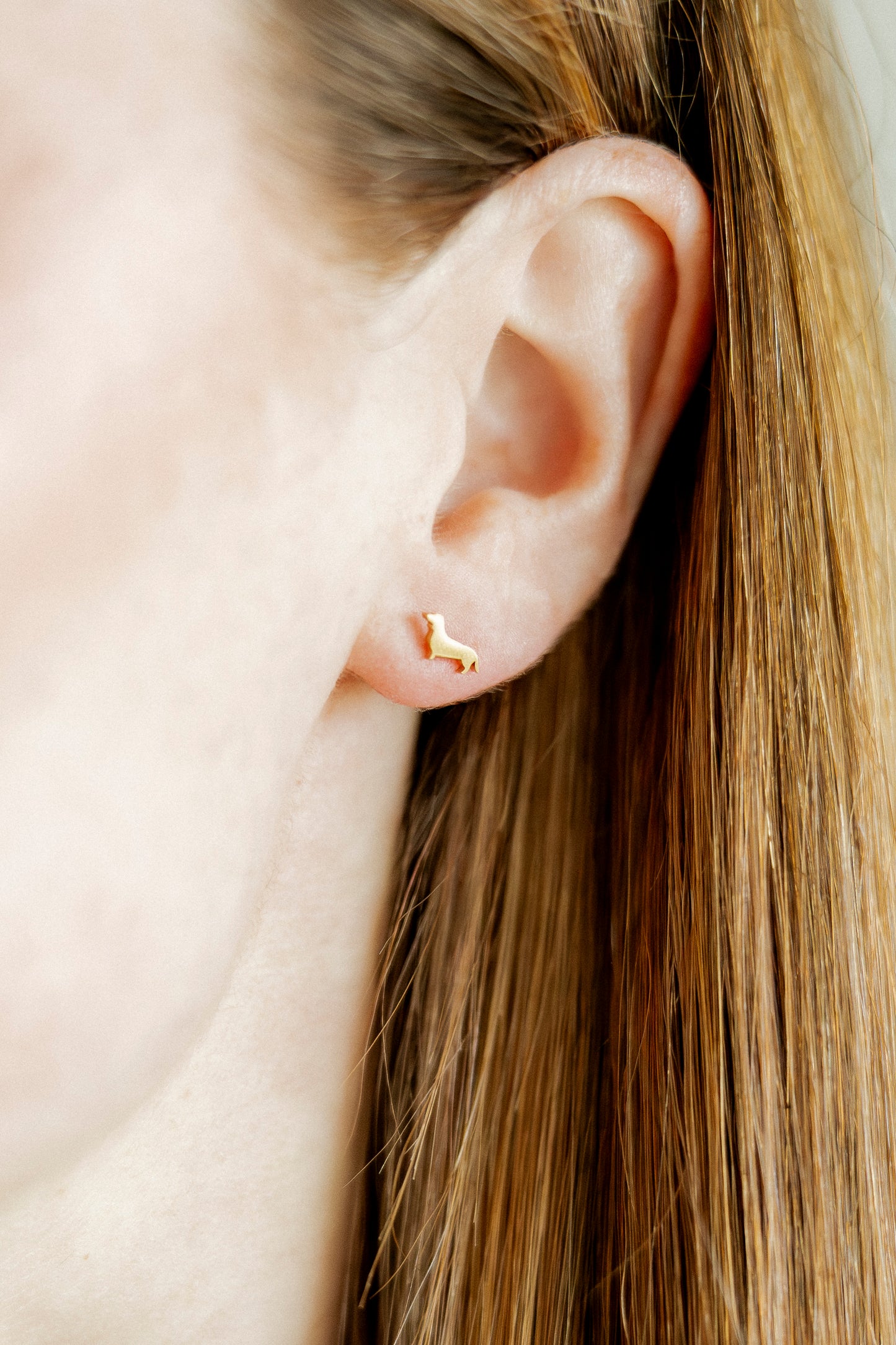 Screwback Stud Earrings - Dachshund