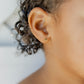Screwback Stud Earrings - Petite Texas