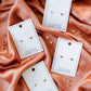 Screwback Stud Earrings - Texas Steer