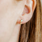 Screwback Stud Earrings - Midnight Dolphin