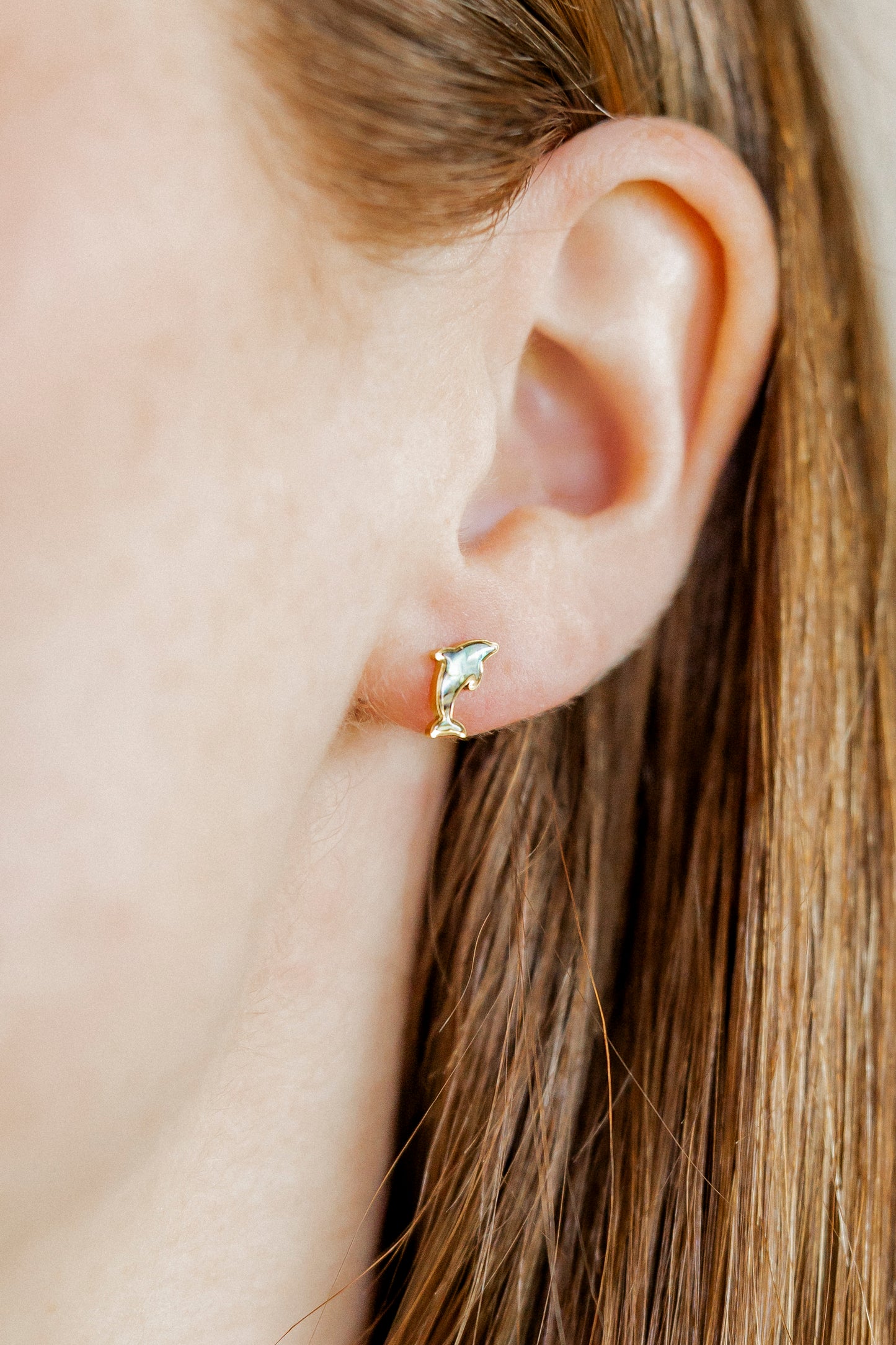 Screwback Stud Earrings - Midnight Dolphin