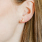 Screwback Stud Earrings - Starfish Gold