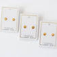 Screwback Stud Earrings - Marina Shell