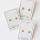 Screwback Stud Earrings - Marina Shell