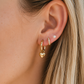 Huggie & Screwback Stud Set - Charleston