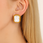Eva Statement Earrings - Brown