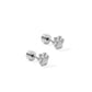 Screwback Stud Earrings - Paw Print Silver