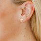 Screwback Stud Earrings - Palm Tree Gold