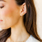 Screwback Stud Earrings - Marina Shell
