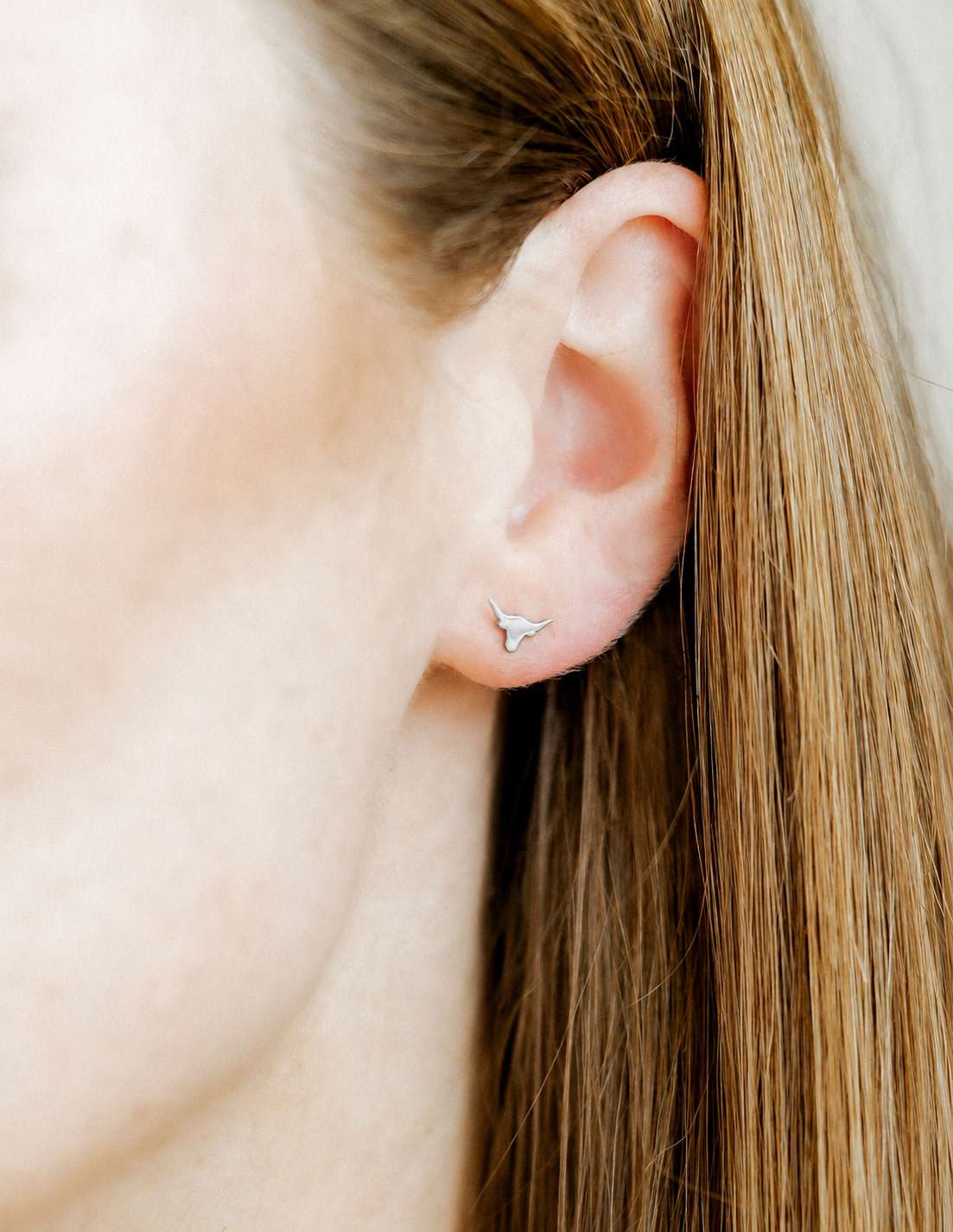 Screwback Stud Earrings - Texas Steer Silver