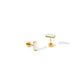 Screwback Stud Earrings - Amber