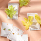 Flora Statement Earrings - Lime Zest