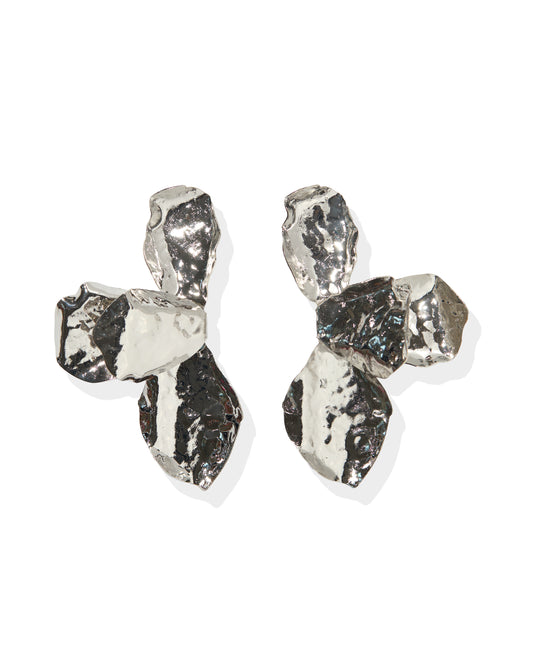 Pair of silver earrings on a white background