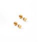Screwback Stud Earrings - Petite Texas