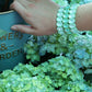 Bracelet - Candy Gem Oval Mint - Shop LINNY CO