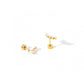 Screwback Stud Earrings - Abigail Pearl - LINNY CO WholesaleStuds