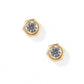 Screwback Stud Earrings - Addison Clear Gold - LINNY CO WholesaleStuds