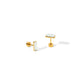 Screwback Stud Earrings - Amber - LINNY CO WholesaleStuds