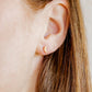 Screwback Stud Earrings - Chili Pepper Gold - LINNY CO Wholesale