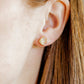 Screwback Stud Earrings - Cove Gold - LINNY CO Wholesale