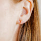Screwback Stud Earrings - Crawfish - LINNY CO WholesaleStuds