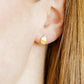 Screwback Stud Earrings - Cupcake - LINNY CO WholesaleStuds