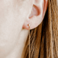 Screwback Stud Earrings - Darby Duster Gold - LINNY CO Wholesale