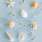 Screwback Stud Earrings - Delaney Gold - LINNY CO Wholesale