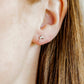 Screwback Stud Earrings - Dolphin Silver - LINNY CO Wholesale