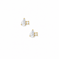 Screwback Stud Earrings - Eleanor CZ Gold - LINNY CO WholesaleStuds
