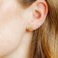 Screwback Stud Earrings - Gator - LINNY CO WholesaleStuds