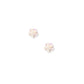Screwback Stud Earrings - Gia - LINNY CO WholesaleStuds